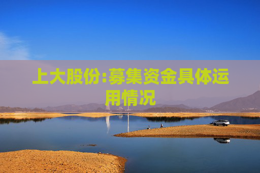 上大股份:募集资金具体运用情况