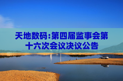 天地数码:第四届监事会第十六次会议决议公告