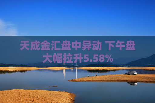 天成金汇盘中异动 下午盘大幅拉升5.58%