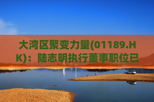 大湾区聚变力量(01189.HK)：陆志明执行董事职位已撤销