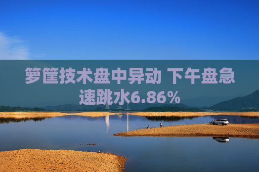 箩筐技术盘中异动 下午盘急速跳水6.86%