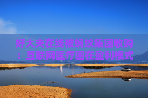 好大夫在线被蚂蚁集团收购：互联网医疗困在盈利模式中