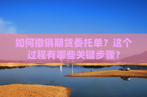 如何撤销期货委托单？这个过程有哪些关键步骤？