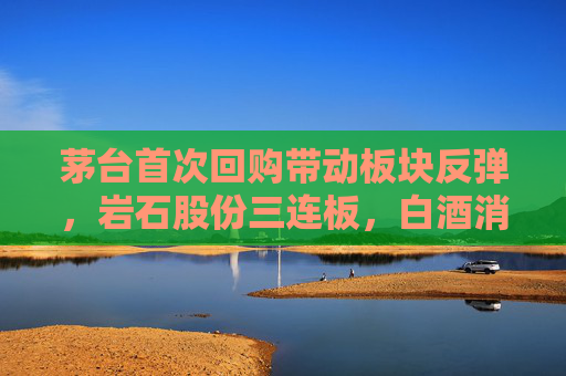 茅台首次回购带动板块反弹，岩石股份三连板，白酒消费市场如何？