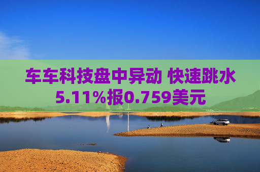 车车科技盘中异动 快速跳水5.11%报0.759美元