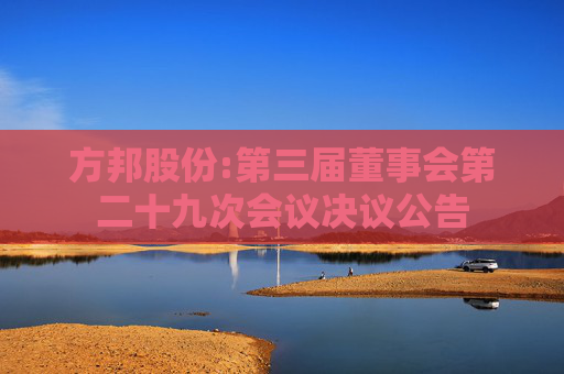 方邦股份:第三届董事会第二十九次会议决议公告