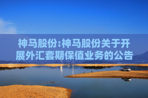 神马股份:神马股份关于开展外汇套期保值业务的公告