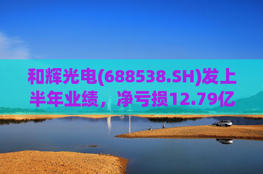 和辉光电(688538.SH)发上半年业绩，净亏损12.79亿元