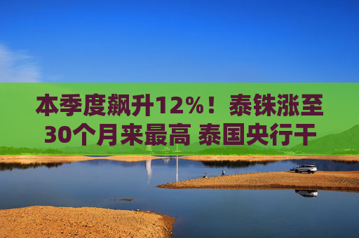 本季度飙升12%！泰铢涨至30个月来最高 泰国央行干预压力增加