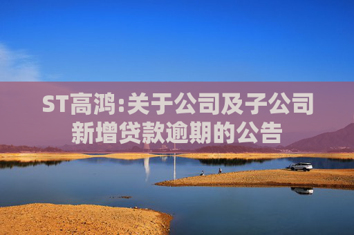 ST高鸿:关于公司及子公司新增贷款逾期的公告