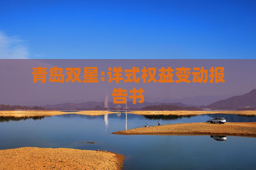 青岛双星:详式权益变动报告书