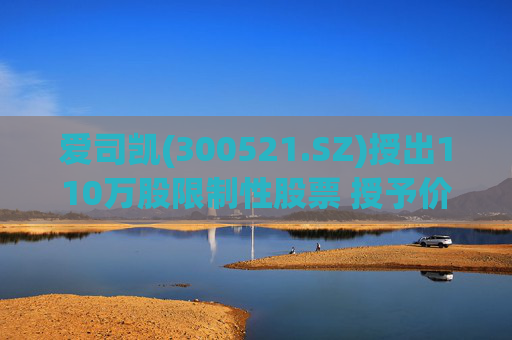 爱司凯(300521.SZ)授出110万股限制性股票 授予价为10.07元/股