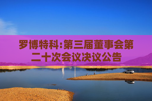 罗博特科:第三届董事会第二十次会议决议公告