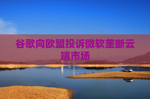 谷歌向欧盟投诉微软垄断云端市场