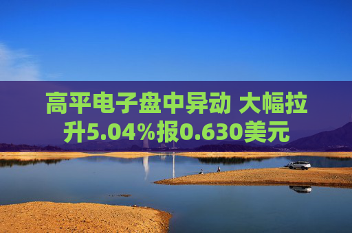 高平电子盘中异动 大幅拉升5.04%报0.630美元