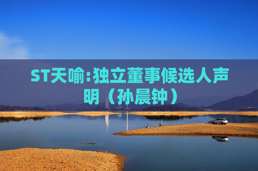 ST天喻:独立董事候选人声明（孙晨钟）