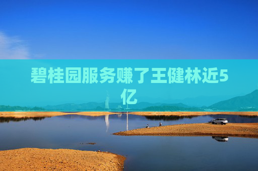 碧桂园服务赚了王健林近5亿