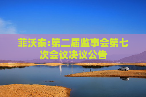 菲沃泰:第二届监事会第七次会议决议公告