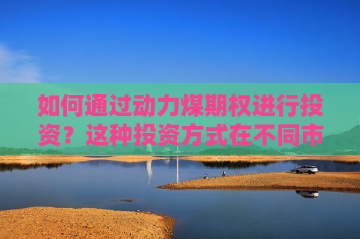如何通过动力煤期权进行投资？这种投资方式在不同市场条件下有何表现？