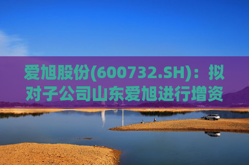 爱旭股份(600732.SH)：拟对子公司山东爱旭进行增资扩股并引入投资者