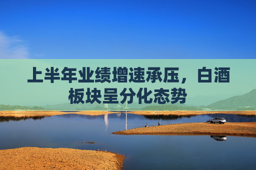 上半年业绩增速承压，白酒板块呈分化态势
