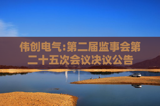 伟创电气:第二届监事会第二十五次会议决议公告