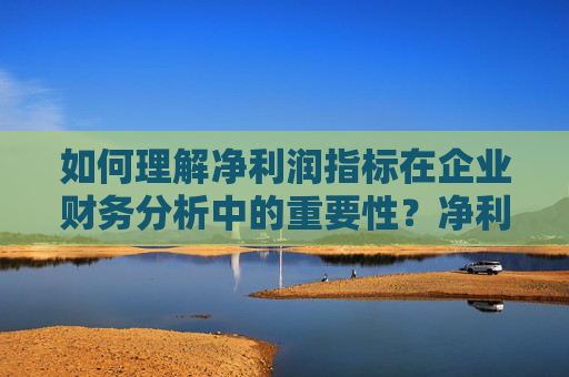 如何理解净利润指标在企业财务分析中的重要性？净利润的变动如何反映企业经营状况？