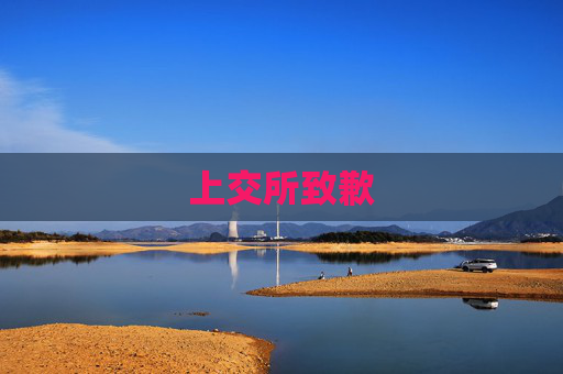 上交所致歉