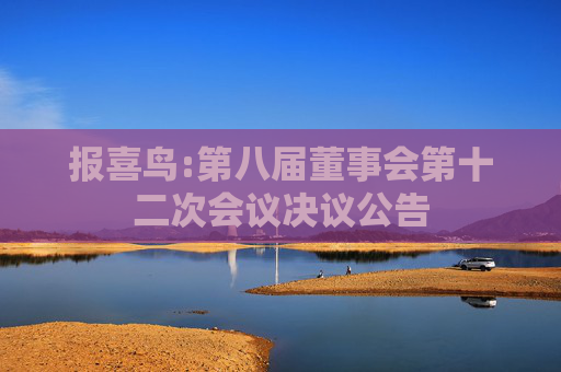 报喜鸟:第八届董事会第十二次会议决议公告