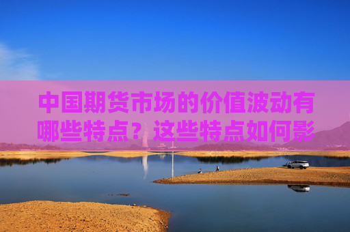 中国期货市场的价值波动有哪些特点？这些特点如何影响投资者的决策？