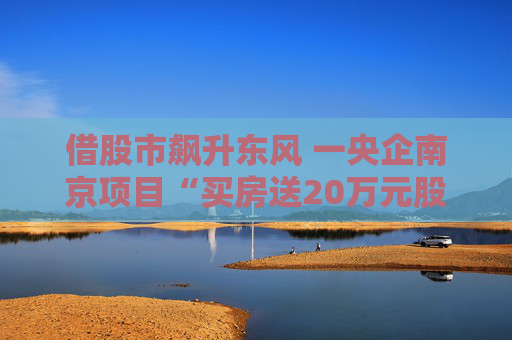 借股市飙升东风 一央企南京项目“买房送20万元股票”事件引热议