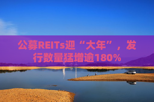公募REITs迎“大年”，发行数量猛增逾180%
