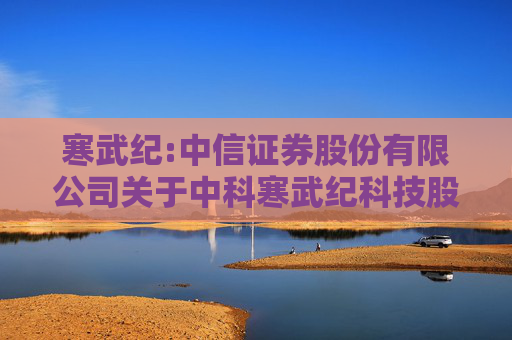 寒武纪:中信证券股份有限公司关于中科寒武纪科技股份有限公司调整募集资金投资项目并增加实施主体及实施地点的专项核查意见