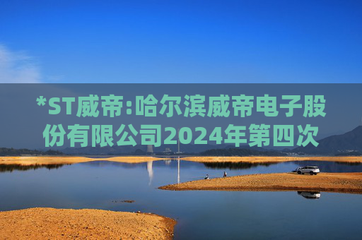 *ST威帝:哈尔滨威帝电子股份有限公司2024年第四次临时股东大会决议公告