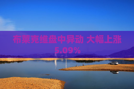 布莱克维盘中异动 大幅上涨5.09%