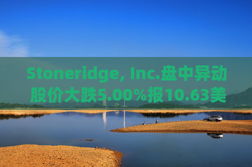 Stoneridge, Inc.盘中异动 股价大跌5.00%报10.63美元