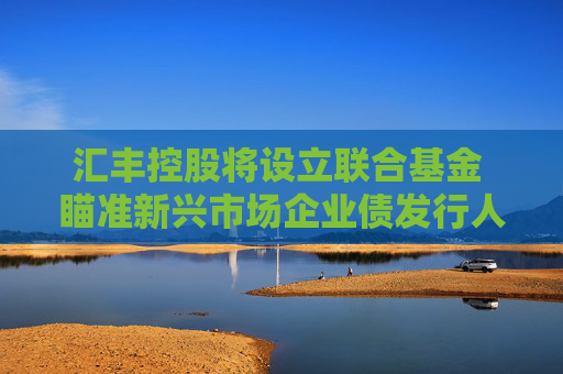 汇丰控股将设立联合基金 瞄准新兴市场企业债发行人