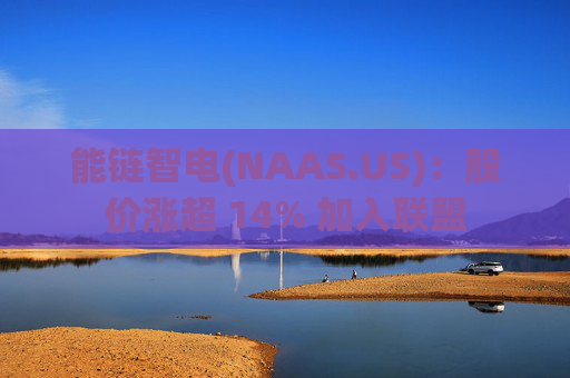 能链智电(NAAS.US)：股价涨超 14% 加入联盟