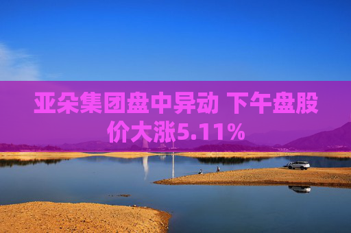亚朵集团盘中异动 下午盘股价大涨5.11%