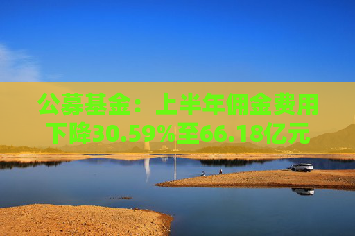 公募基金：上半年佣金费用下降30.59%至66.18亿元