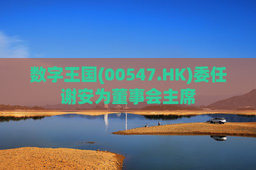 数字王国(00547.HK)委任谢安为董事会主席