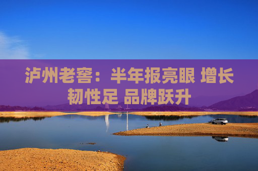 泸州老窖：半年报亮眼 增长韧性足 品牌跃升