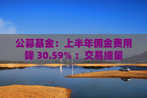 公募基金：上半年佣金费用降 30.59% ：交易缩量
