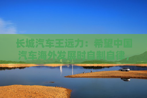 长城汽车王远力：希望中国汽车海外发展时自制自律，坚守底线经营