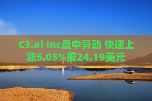 C3.ai Inc盘中异动 快速上涨5.05%报24.19美元