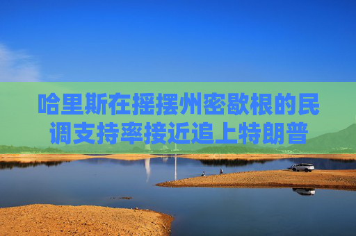 哈里斯在摇摆州密歇根的民调支持率接近追上特朗普
