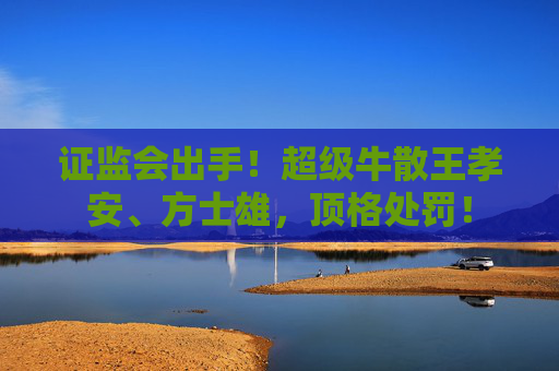 证监会出手！超级牛散王孝安、方士雄，顶格处罚！
