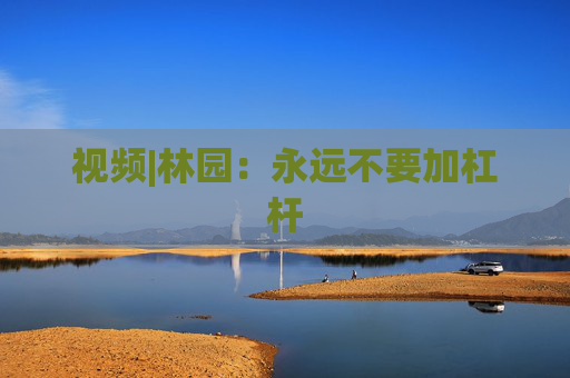 视频|林园：永远不要加杠杆