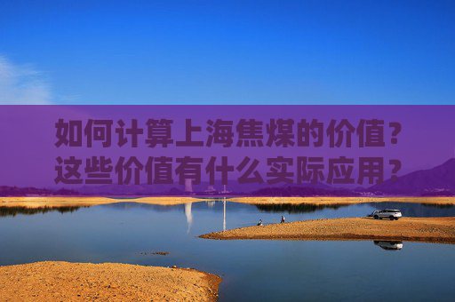 如何计算上海焦煤的价值？这些价值有什么实际应用？