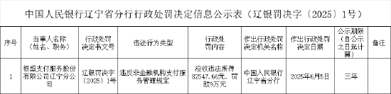 银盛支付辽宁分公司被罚9万元：违反非金融机构支付服务管理规定